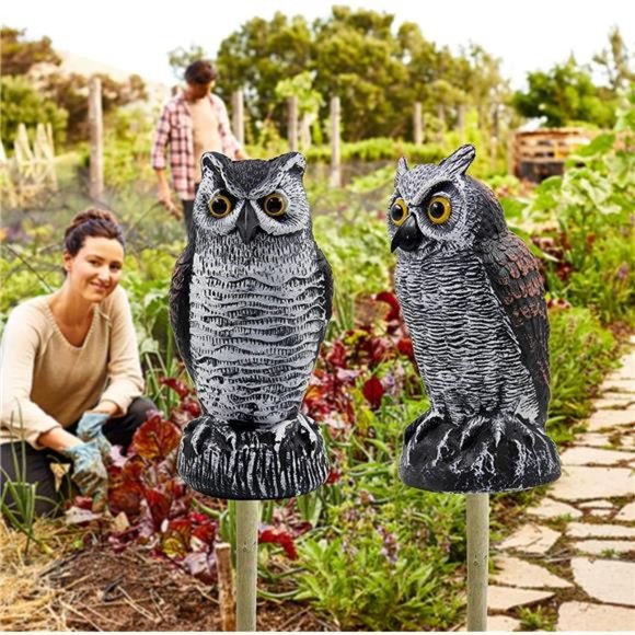 2 Pack Fake Horned Owl Bird Scarecrow Decoy, Plastic Owl Bird Deterrents - Picture 5 of 7